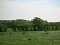 Dunlop Castle hill from the top of the stone.