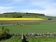 Dunnichen Hill in the present day, seen from Dunnichen Moss, the traditional site of the battle. The hill, which is relatively low, lies in farmland. The summit is covered with a small, copiced birch wood. In the foreground is a dry-stone wall behind which lies a small, modern pond.