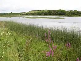 Durnesh Lough