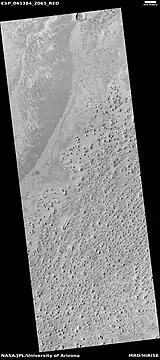 Wide view of field of rootless cones, as seen by HiRISE under HiWish program Location is Elysium quadrangle.