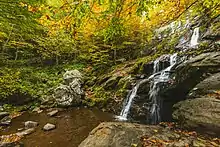 Dark Hollow Falls in Autumn