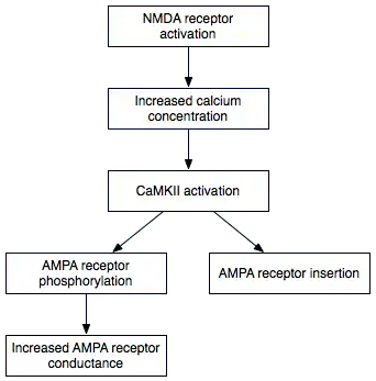 Early LPT Mechanism