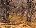 Eichenwald im Vorfrühling (Oak Wood in Early Spring), 1894