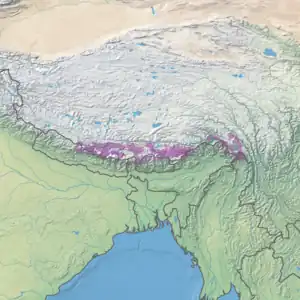 Eastern Himalayan alpine shrub and meadows