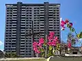 Building and flowers in Obrero