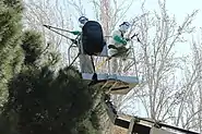 Madrid City Council workers in protective clothing cutting pine processionary nests, 2019