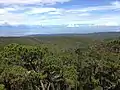 Typical habitat of E. leoncei in Sierra de Bahoruco.