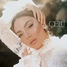 Official cover artwork for Çelu