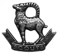 Ladakh Scouts