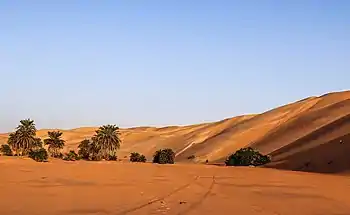 Sand dune in erg Amatlich