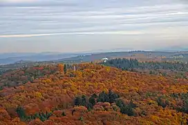 Summit region of the Eschkopf with the Eschkopf Tower. Behind: the German Air Safety radar site