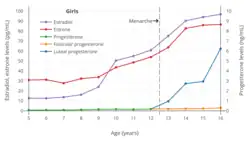 Estrogen and progesterone levels during childhood and adolescence, including puberty, in girls. The dashed vertical line is the average age of menarche (first menstruation and onset of menstrual cycles).