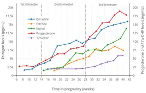 Estrogen, progesterone, and 17α-hydroxyprogesterone (17α-OHP) levels during pregnancy in women. The dashed vertical lines separate the trimesters.