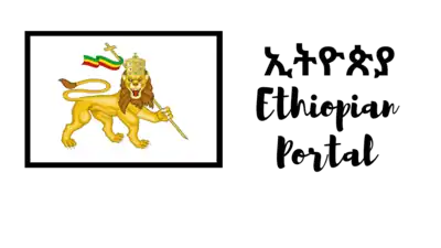 Ethiopian portal logo