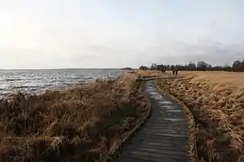 Shoreline of the Ewiges Meer