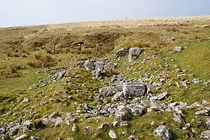 A step cut into a grassy slope covered with a scatter of rocks of various sizes