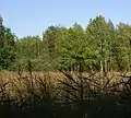 Ostufer Tiefwaren – Falkenhäger Bruch Nature Reserve