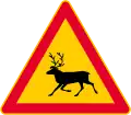 Animals (Reindeer)