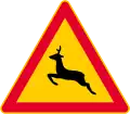 Animals (Deer)