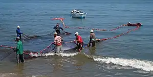 Fishermen on Lake Manzala