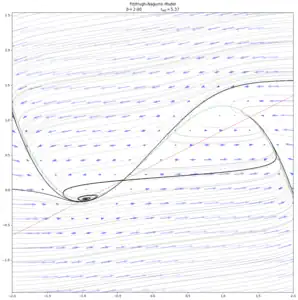 When 
  
    
      
        b
        =
        2.0
      
    
    {\displaystyle b=2.0}
  
, a homoclinic bifurcation event occurs around 
  
    
      
        
          I
          
            e
            x
            t
          
        
        =
        5.393
      
    
    {\displaystyle I_{ext}=5.393}
  
. Before the bifurcation, the stable manifold converges to the sink, and the unstable manifold escapes to infinity. After the event, the stable manifold converges to the sink on the right, and the unstable manifold converges to a limit cycle around the left spiral point.