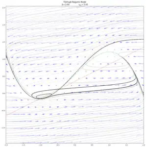 After the homoclinic bifurcation. When 
  
    
      
        b
        =
        2.0
        ,
        
          I
          
            e
            x
            t
          
        
        =
        5.45
      
    
    {\displaystyle b=2.0,I_{ext}=5.45}
  
, there is one stable spiral point on the left, and one stable sink on the right. Both branches of the unstable manifold converge to the sink. The upper branch of the stable manifold diverges to infinity. The lower branch of the stable manifold converges to a cycle around the spiral point. The limit cycle itself is unstable.