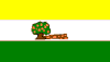 Flag of Caimito