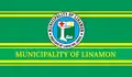 Flag of Linamon