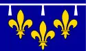 Flag of Orléans