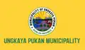 Flag of Ungkaya Pukan