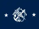 Flag of the Deputy Surgeon General of the United States(Rear admiral)