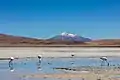 Landscape in Laguna Hedionda