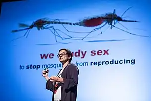 Photograph of Catteruccia standing in front of a screen showing one of her slides, which pictures a male and female mosquito coupled in mating, and under the words "we study sex to stop mosquitoes from reproducing"