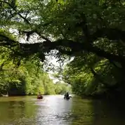 Flat water offers easy, lazy paddles.