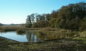 Old peat working, now allowed to flood, at Cold Harbour, 2005