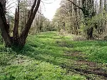 Flordon Common