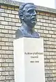 Bust in Cluj