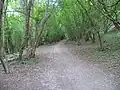 Footpath on Charlton Kings Common