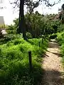 Looking south down the path that leads to the Praia dos Aveiros from the Beco Vasco da Gama.