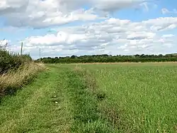 Footpath around Black Carr fields