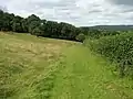 Footpath to Caswell Woods