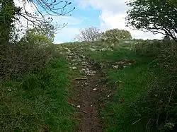 Footpath up Bedd y Cawr