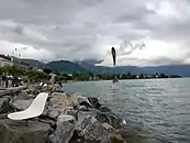 Fork of Vevey