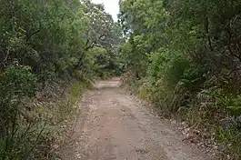 Photo of cleared former rail line formation through bush near Flinders Bay