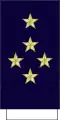 Général d'armée aérienne(French Air and Space Force)