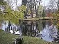 The pond in the Botanical Garden