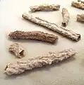 Tube fulgurites