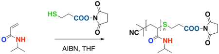 Functionalization CTA Scheme 2 of PNIPA