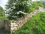 Furness Abbey, wall