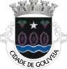 Coat of arms of Gouveia